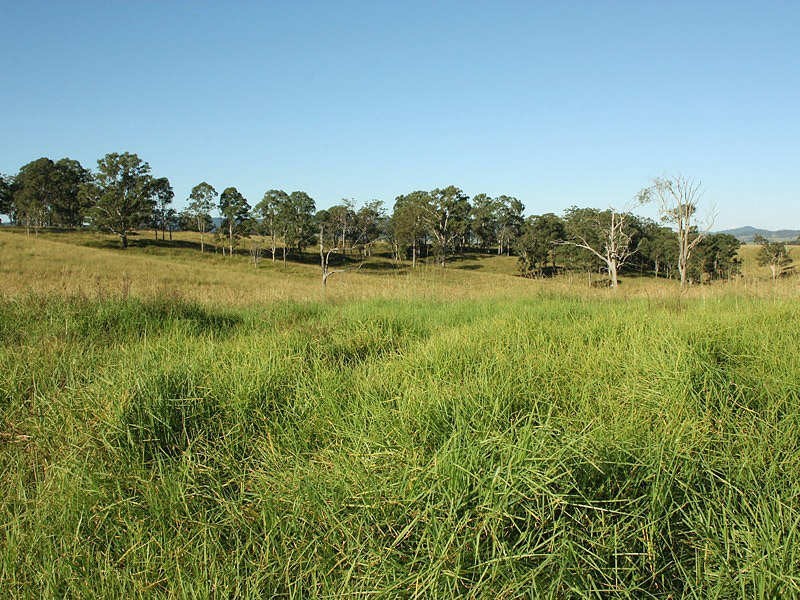 Upper Stratheden Road, Kyogle NSW 2474