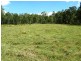 Doubtful Creek Road, Kyogle NSW 2474