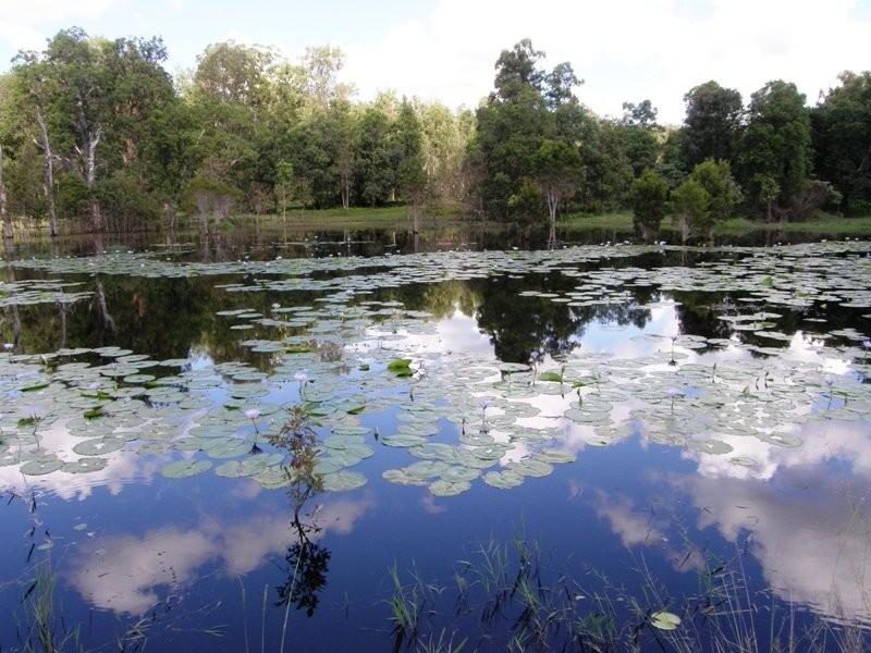 Doubtful Creek Road, Kyogle NSW 2474