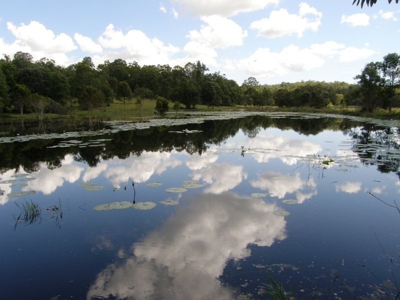 Doubtful Creek Road, Kyogle NSW 2474