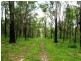Doubtful Creek Road, Kyogle NSW 2474