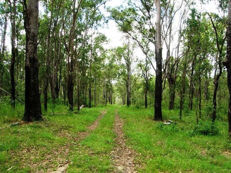 Doubtful Creek Road, Kyogle NSW 2474