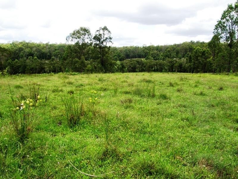 Doubtful Creek Road, Kyogle NSW 2474