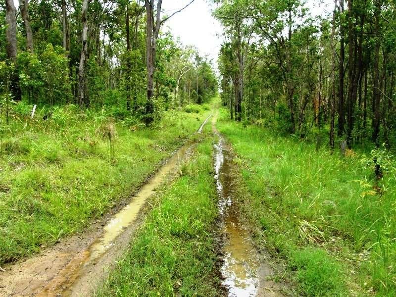 Doubtful Creek Road, Kyogle NSW 2474
