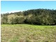 Boorabee Creek Road, Kyogle NSW 2474