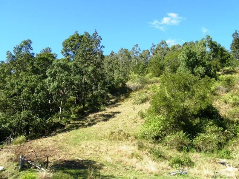 Boorabee Creek Road, Kyogle NSW 2474