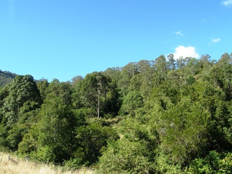 Boorabee Creek Road, Kyogle NSW 2474