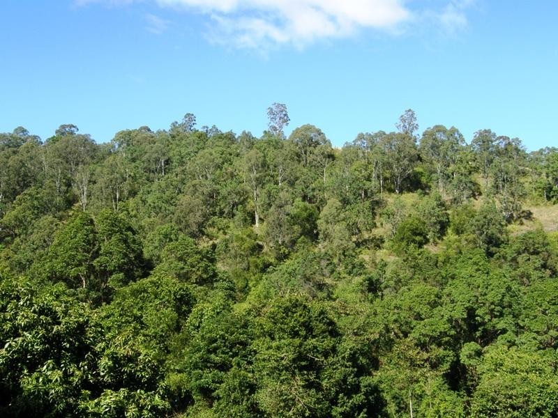 Boorabee Creek Road, Kyogle NSW 2474