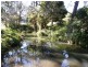 Boorabee Creek Road, Kyogle NSW 2474