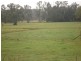 Numinbah Road, Murwillumbah NSW 2484