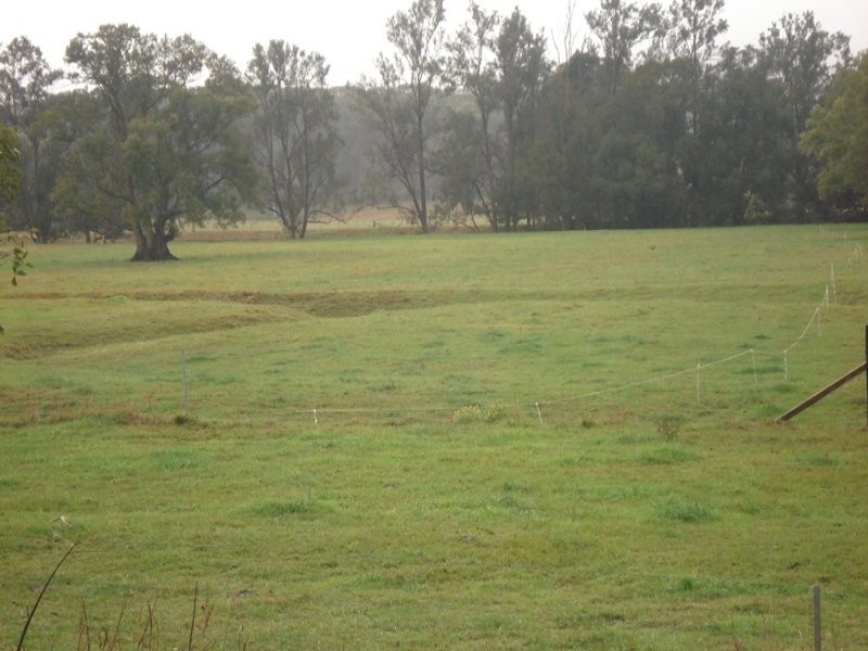 Numinbah Road, Murwillumbah NSW 2484