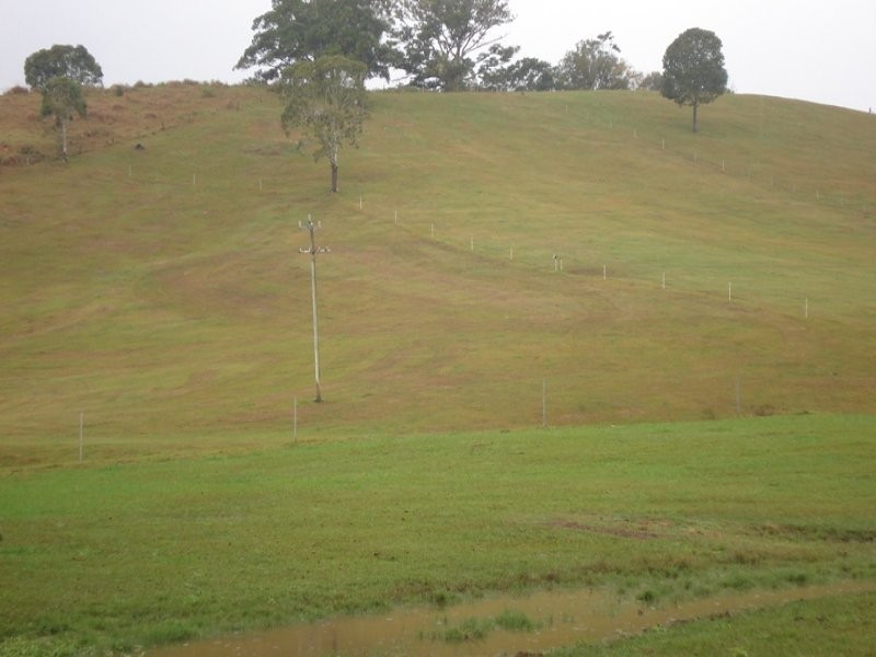 Numinbah Road, Murwillumbah NSW 2484