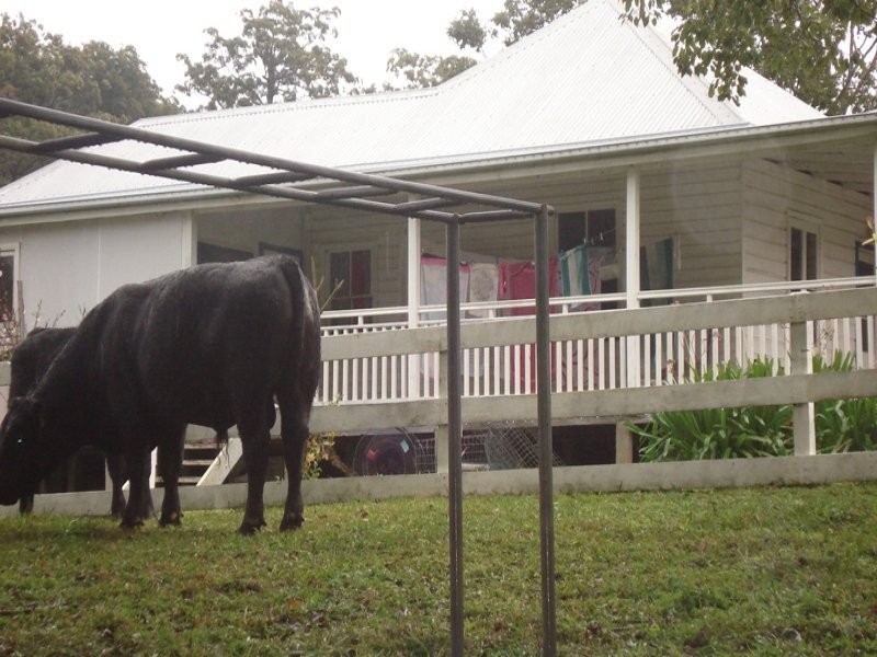 Numinbah Road, Murwillumbah NSW 2484