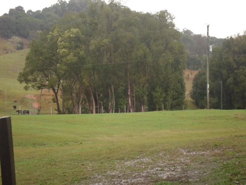 Numinbah Road, Murwillumbah NSW 2484