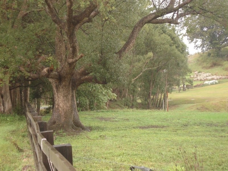 Numinbah Road, Murwillumbah NSW 2484