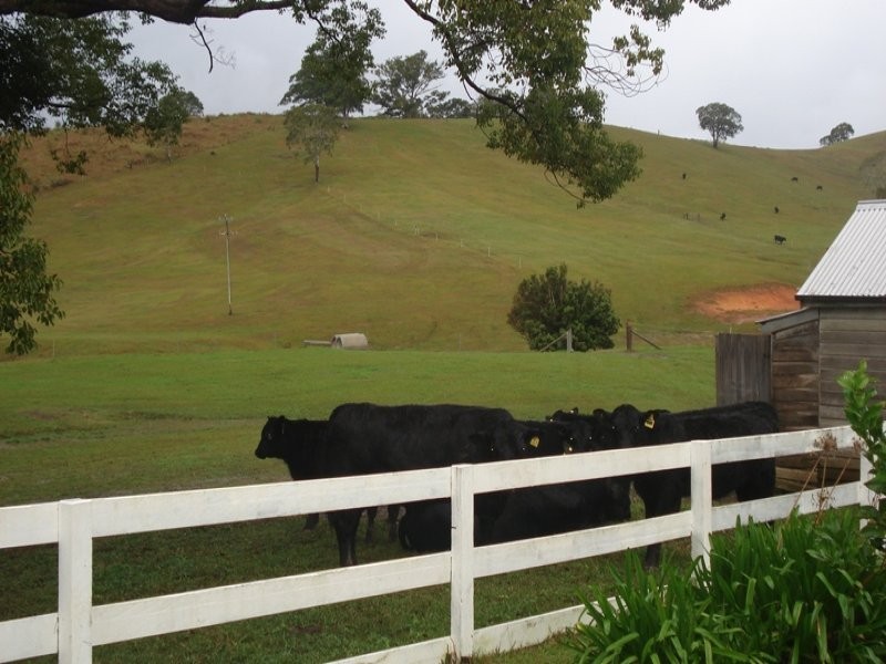 Numinbah Road, Murwillumbah NSW 2484