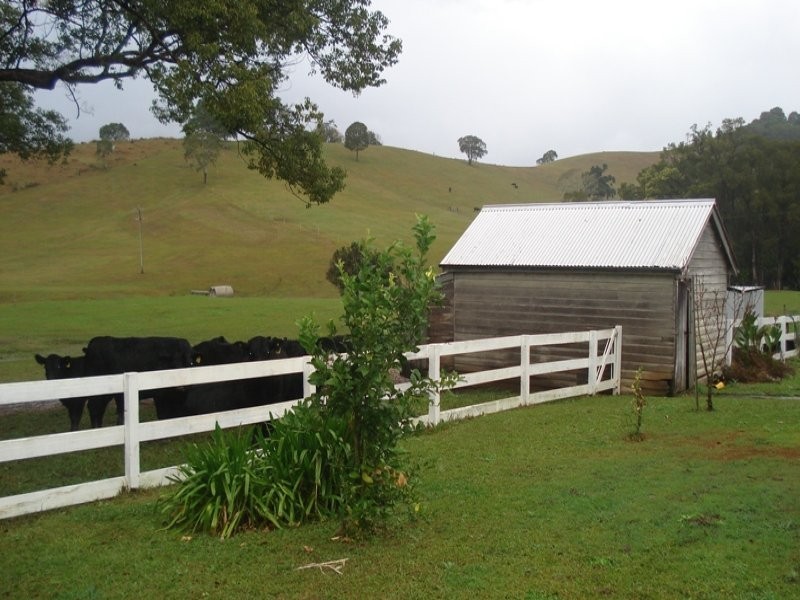 Numinbah Road, Murwillumbah NSW 2484