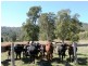 Boorabee Creek Road, Kyogle NSW 2474