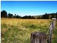 Boorabee Creek Road, Kyogle NSW 2474