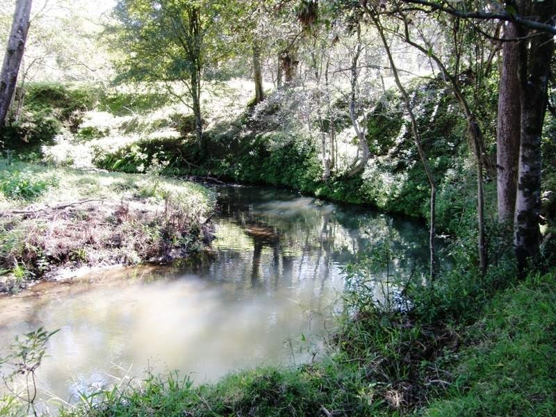 Boorabee Creek Road, Kyogle NSW 2474