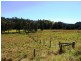 Boorabee Creek Road, Kyogle NSW 2474
