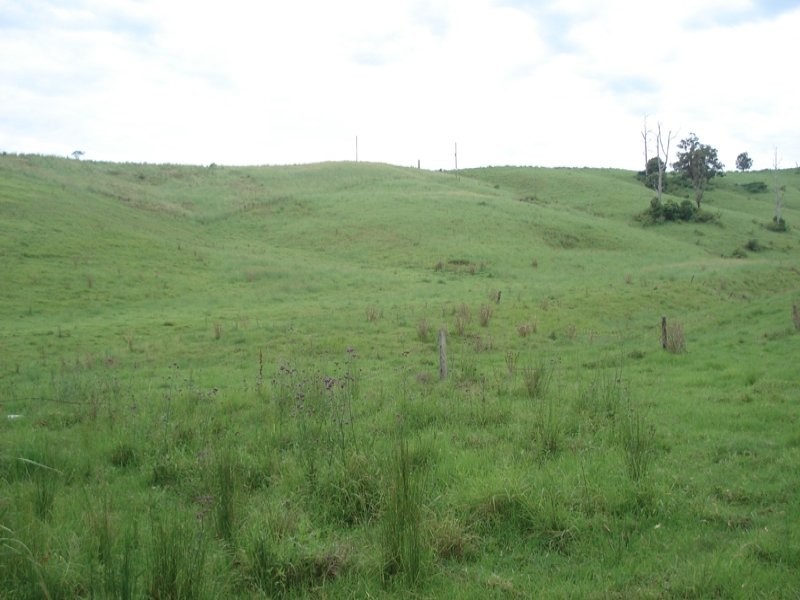 Fawcetts Plains Road, Kyogle NSW 2474
