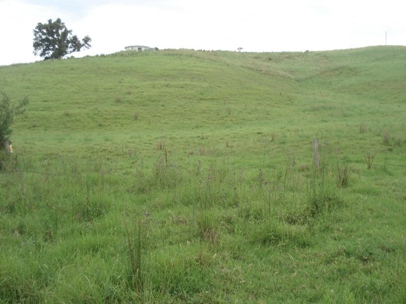 Fawcetts Plains Road, Kyogle NSW 2474