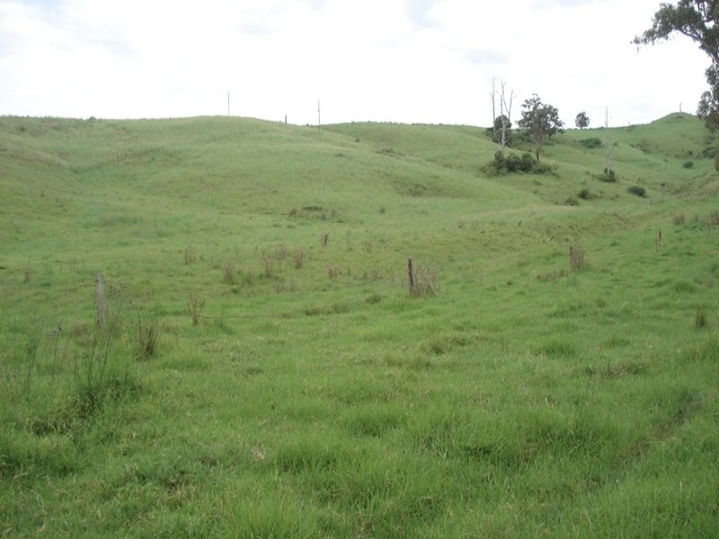 Fawcetts Plains Road, Kyogle NSW 2474