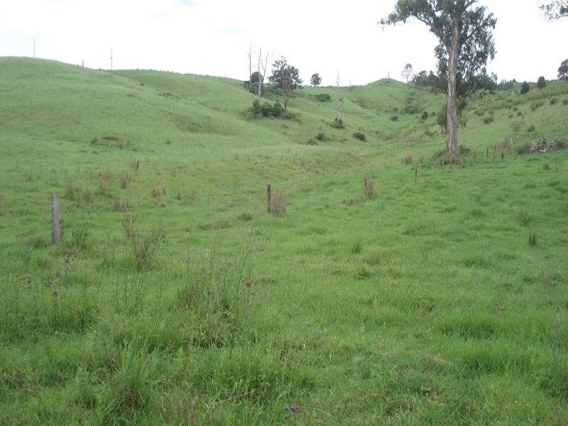 Fawcetts Plains Road, Kyogle NSW 2474