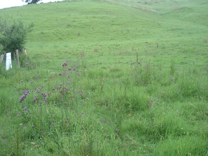 Fawcetts Plains Road, Kyogle NSW 2474