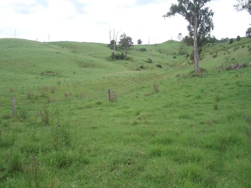 Fawcetts Plains Road, Kyogle NSW 2474