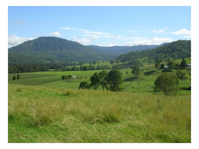 Collins Valley Road, Kyogle NSW 2474