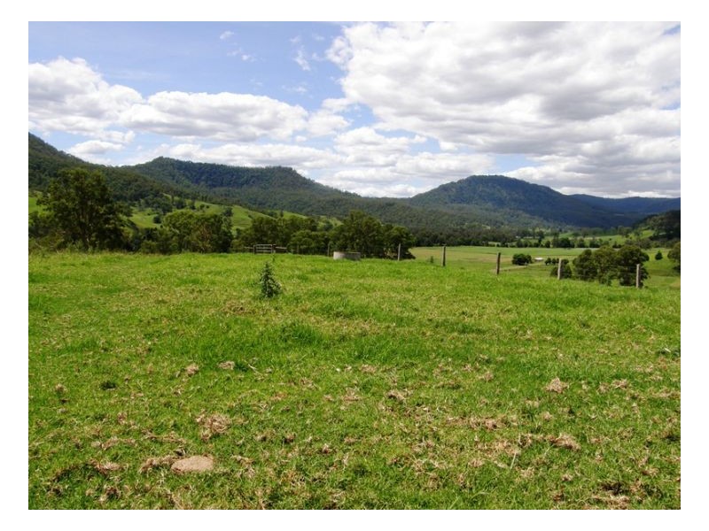 Collins Valley Road, Kyogle NSW 2474