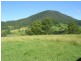 Collins Valley Road, Kyogle NSW 2474