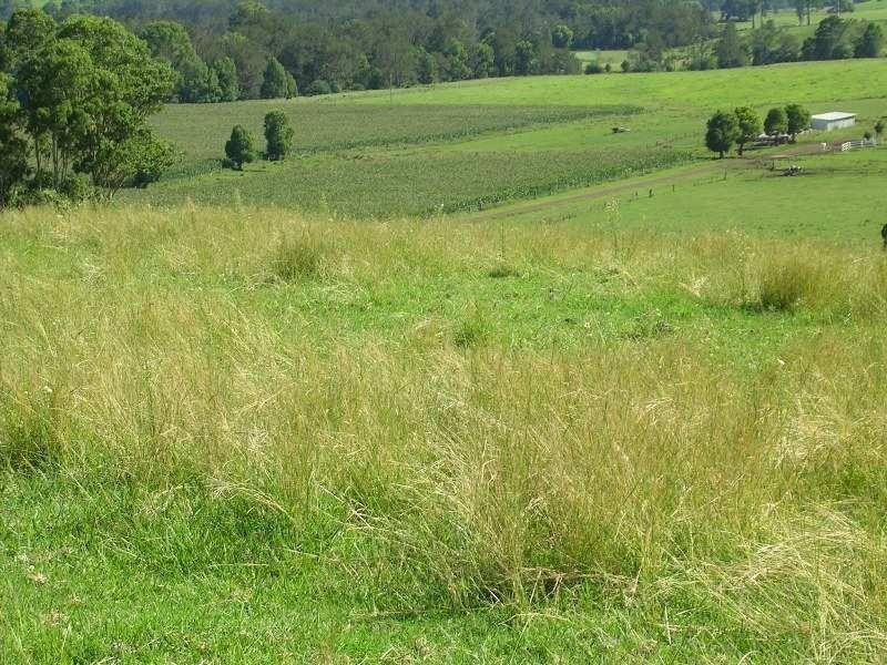 Collins Valley Road, Kyogle NSW 2474