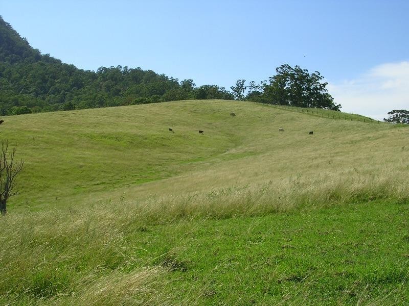 Collins Valley Road, Kyogle NSW 2474