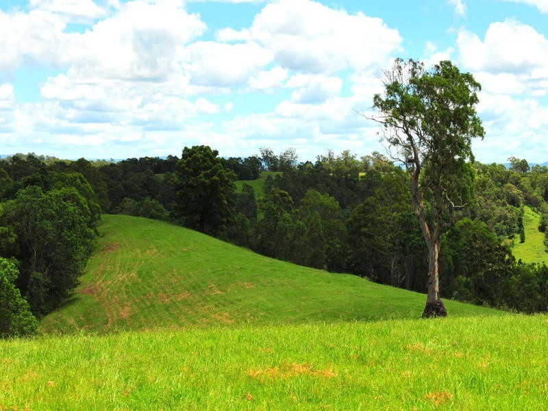 Boorabee Creek Road, Kyogle NSW 2474