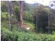 Boorabee Creek Road, Kyogle NSW 2474