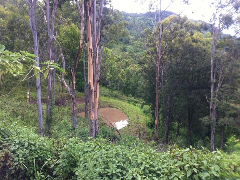Boorabee Creek Road, Kyogle NSW 2474