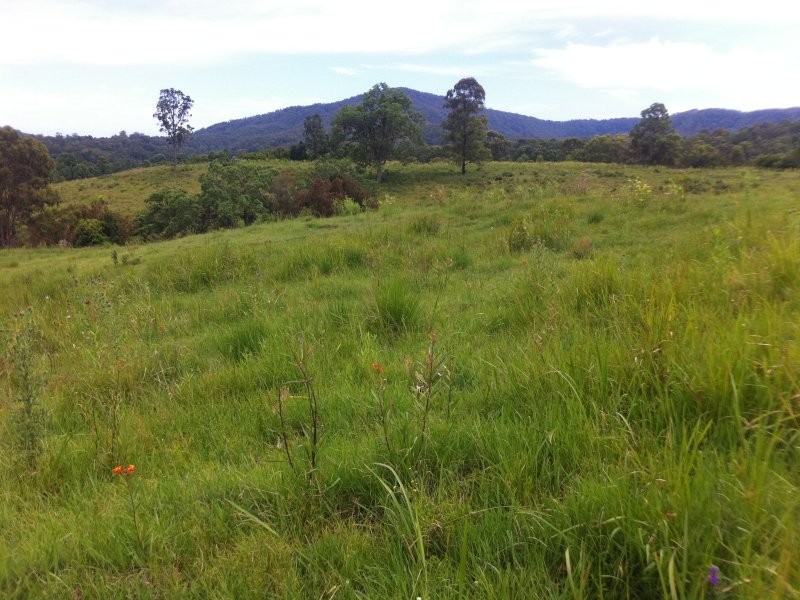 Boorabee Creek Road, Kyogle NSW 2474