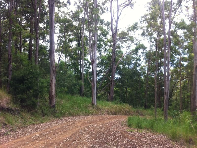 Boorabee Creek Road, Kyogle NSW 2474
