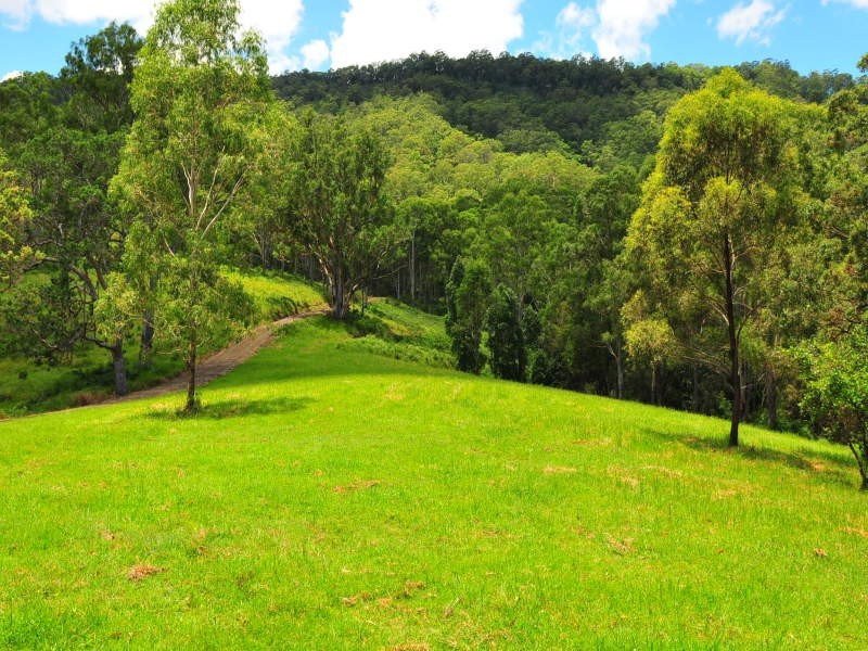 Boorabee Creek Road, Kyogle NSW 2474