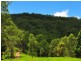 Boorabee Creek Road, Kyogle NSW 2474