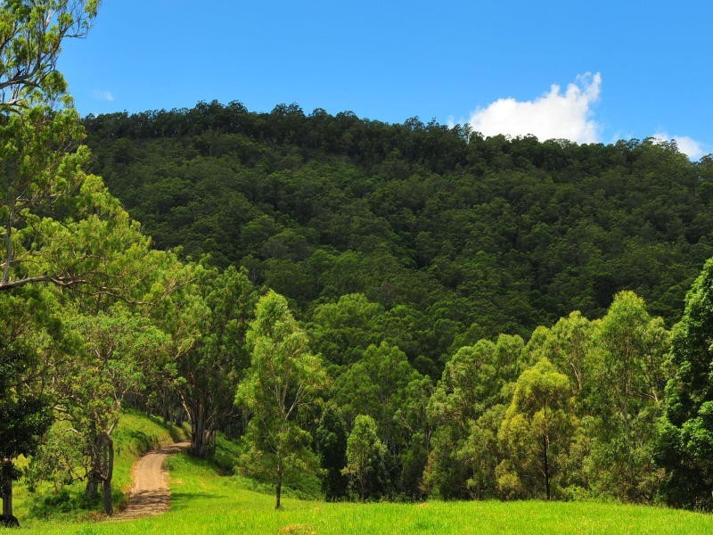 Boorabee Creek Road, Kyogle NSW 2474
