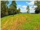 Boorabee Creek Road, Kyogle NSW 2474