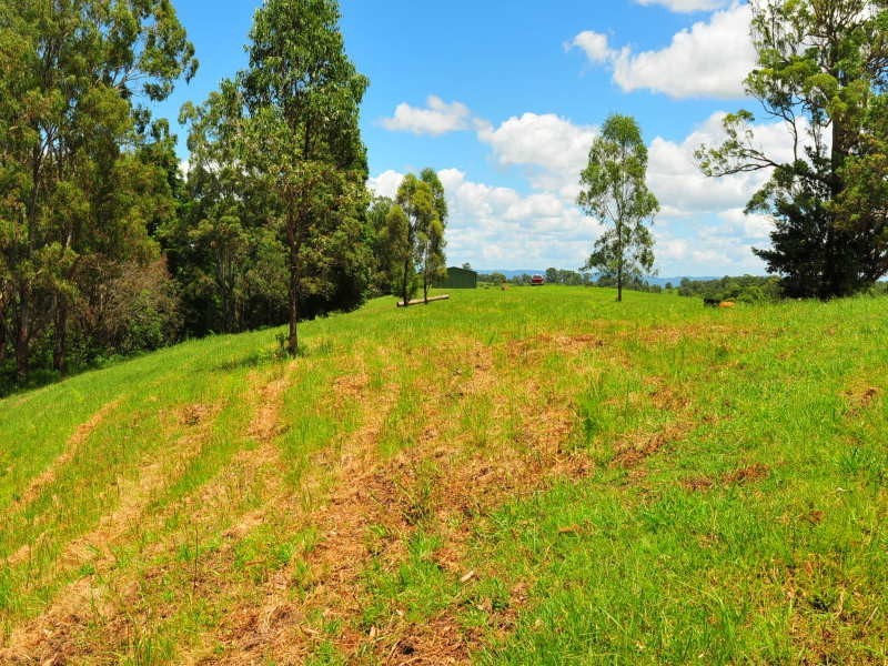 Boorabee Creek Road, Kyogle NSW 2474