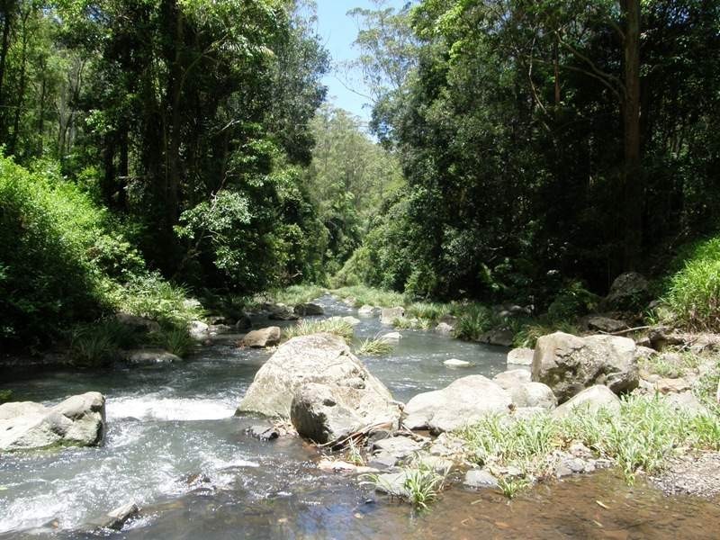 Horseshoe Creek Road, Kyogle NSW 2474