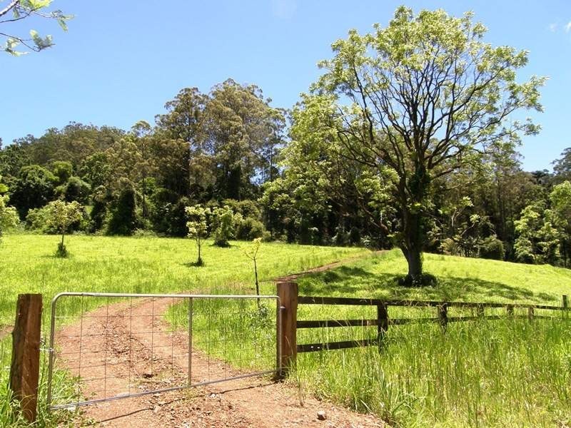Horseshoe Creek Road, Kyogle NSW 2474