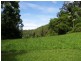 Horseshoe Creek Road, Kyogle NSW 2474