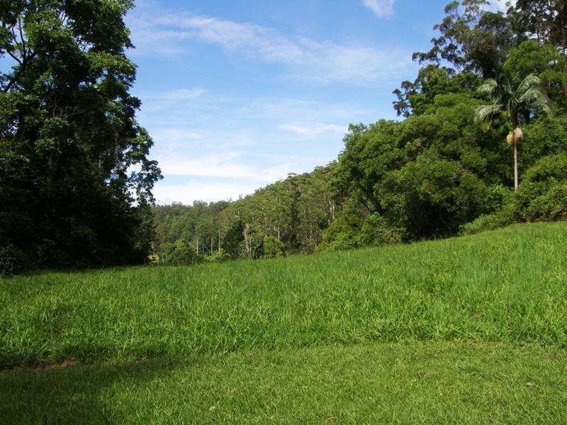 Horseshoe Creek Road, Kyogle NSW 2474